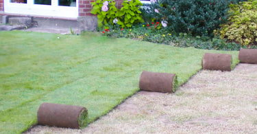 Rollrasen in Sandwichbauweise