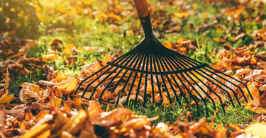 Rasenpflege im Herbst - Hamburger Rollrasen Shop