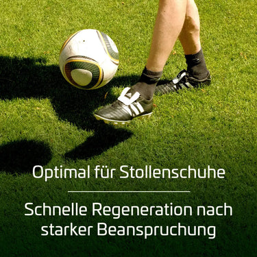 Sportrasen RSM 3.1