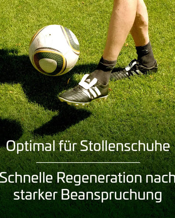 Sportrasen RSM 3.1