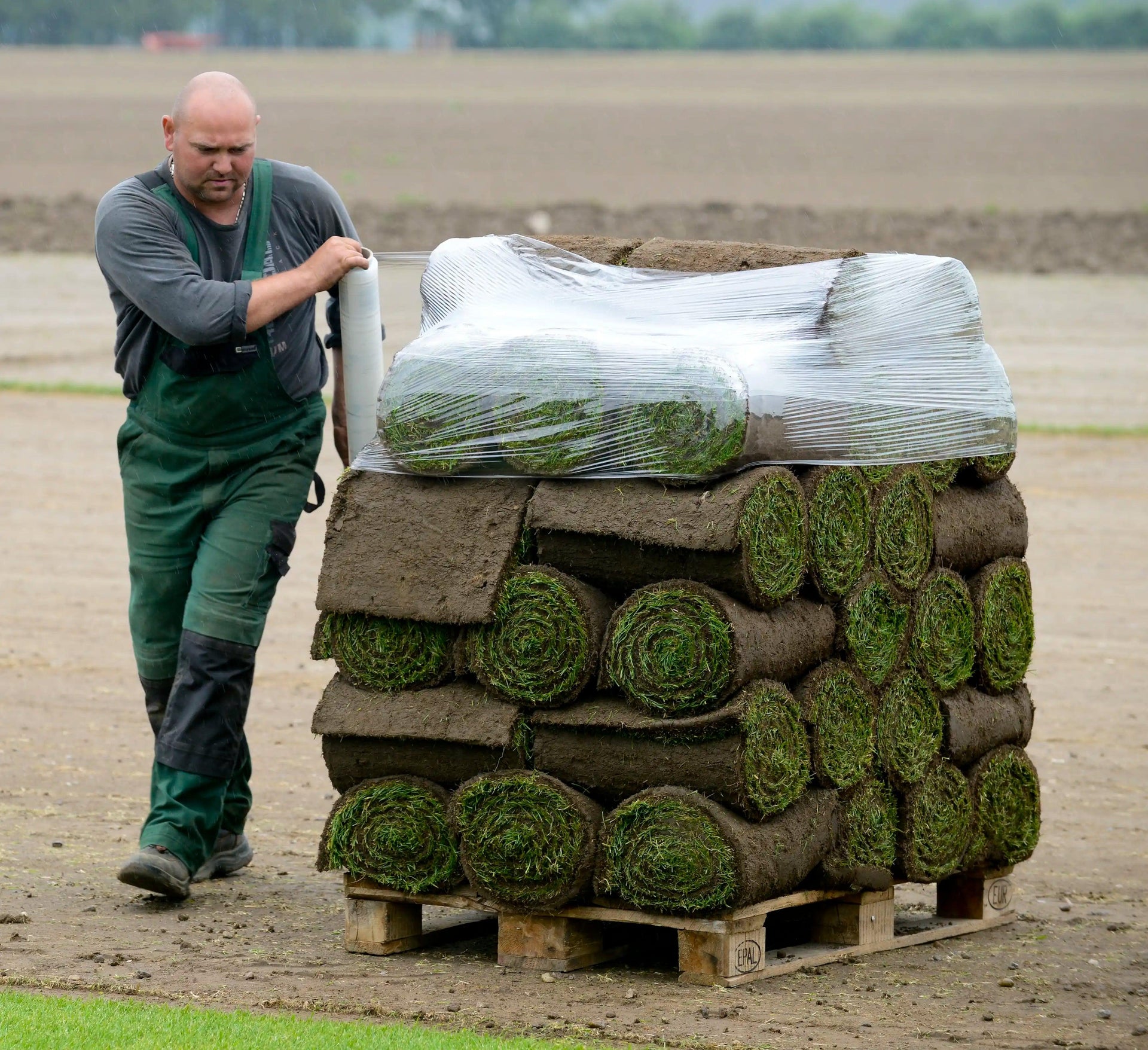 Palettenpfand je 50m² Rollrasen