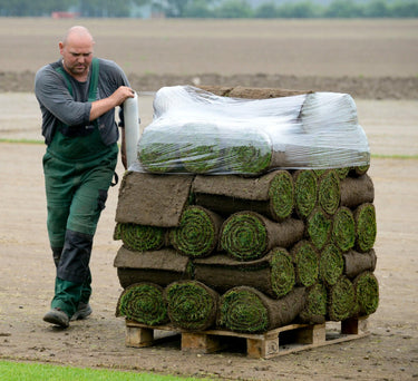 Palettenpfand je 50m² Rollrasen - Hamburger Rollrasen Shop